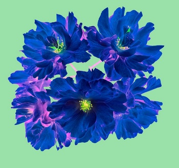 F 054C